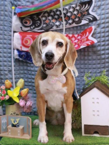 20230502ミツコちゃん